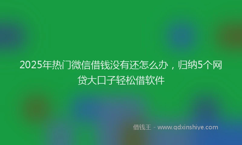2025年热门微信借钱没有还怎么办，归纳5个网贷大口子轻松借软件
