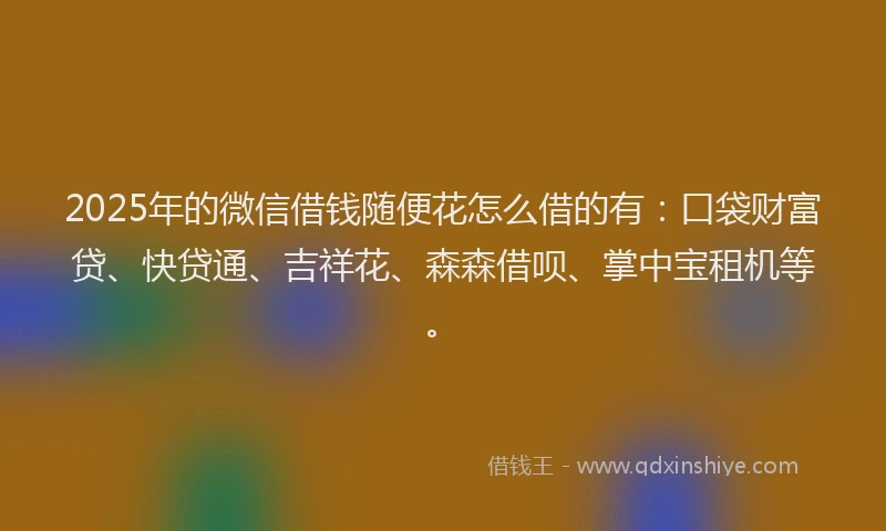 2025年的微信借钱随便花怎么借的有：口袋财富贷、快贷通、吉祥花、森森借呗、掌中宝租机等。