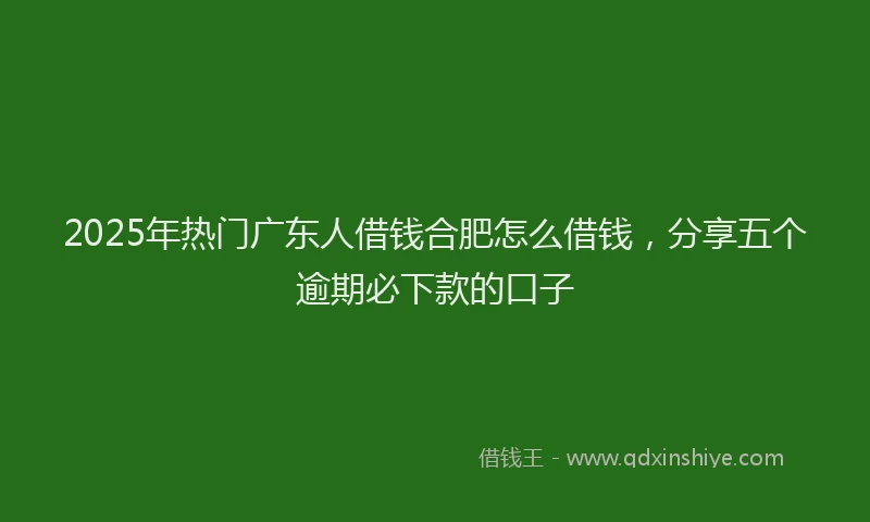 2025年热门广东人借钱合肥怎么借钱，分享五个逾期必下款的口子