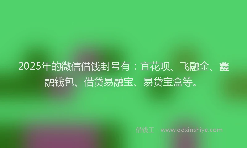 2025年的微信借钱封号有：宜花呗、飞融金、鑫融钱包、借贷易融宝、易贷宝盒等。