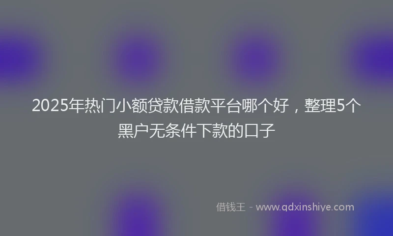 2025年热门小额贷款借款平台哪个好，整理5个黑户无条件下款的口子