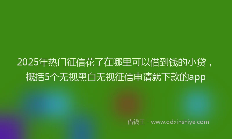 2025年热门征信花了在哪里可以借到钱的小贷，概括5个无视黑白无视征信申请就下款的app