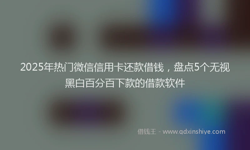 2025年热门微信信用卡还款借钱,盘点5个无视黑白百分百下款的借款软件