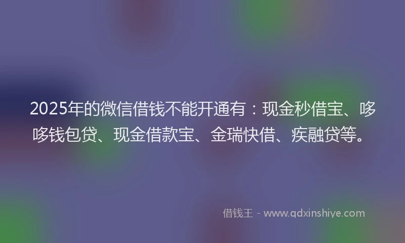 2025年的微信借钱不能开通有：现金秒借宝、哆哆钱包贷、现金借款宝、金瑞快借、疾融贷等。