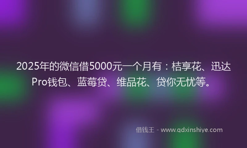 2025年的微信借5000元一个月有：桔享花、迅达Pro钱包、蓝莓贷、维品花、贷你无忧等。
