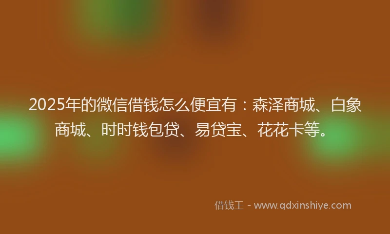 2025年的微信借钱怎么便宜有:森泽商城、白象商城、时时钱包贷、易贷宝、花花卡等。