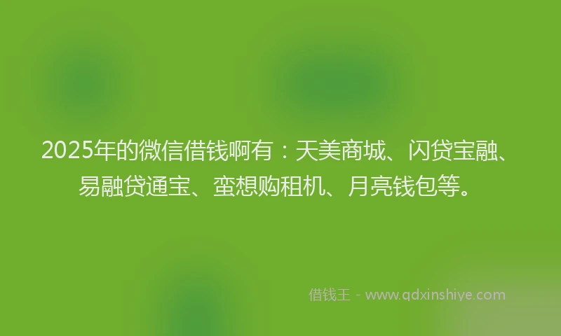 2025年的微信借钱啊有：天美商城、闪贷宝融、易融贷通宝、蛮想购租机、月亮钱包等。