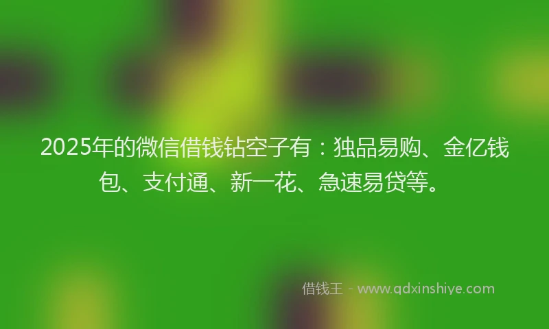 2025年的微信借钱钻空子有：独品易购、金亿钱包、支付通、新一花、急速易贷等。
