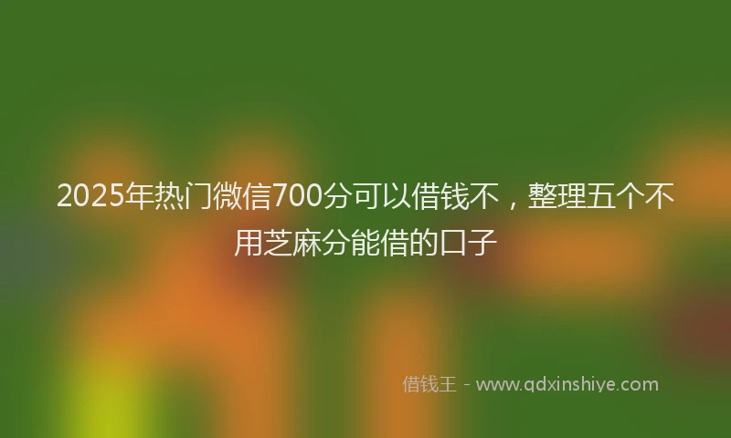 2025年热门微信700分可以借钱不，整理五个不用芝麻分能借的口子