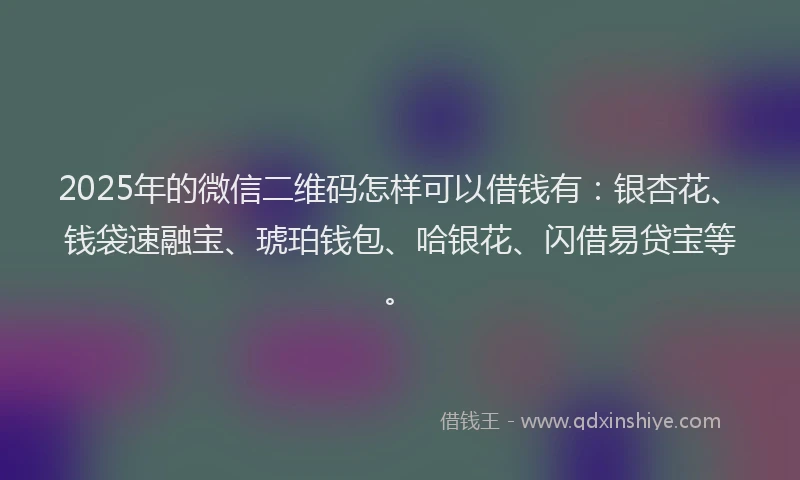 2025年的微信二维码怎样可以借钱有：银杏花、钱袋速融宝、琥珀钱包、哈银花、闪借易贷宝等。
