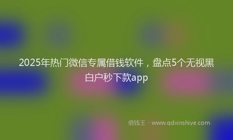 2025年热门微信专属借钱软件,盘点5个无视黑白户秒下款app