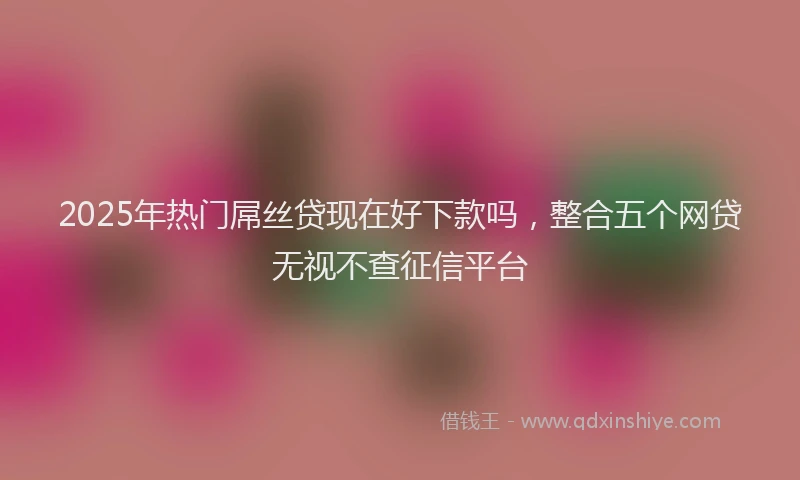 2025年热门屌丝贷现在好下款吗，整合五个网贷无视不查征信平台