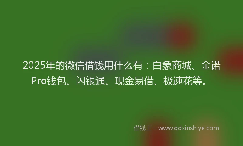 2025年的微信借钱用什么有：白象商城、金诺Pro钱包、闪银通、现金易借、极速花等。