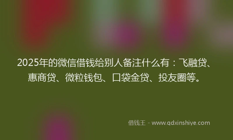 2025年的微信借钱给别人备注什么有：飞融贷、惠商贷、微粒钱包、口袋金贷、投友圈等。
