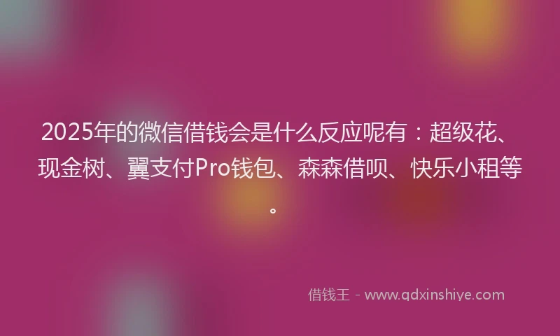 2025年的微信借钱会是什么反应呢有：超级花、现金树、翼支付Pro钱包、森森借呗、快乐小租等。
