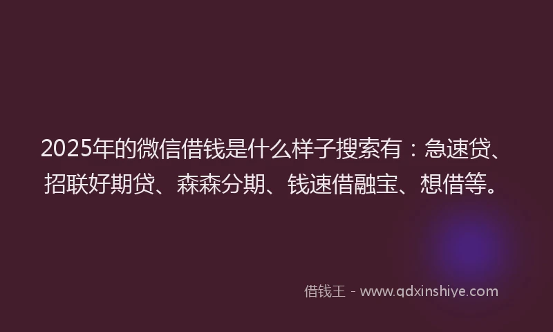 2025年的微信借钱是什么样子搜索有：急速贷、招联好期贷、森森分期、钱速借融宝、想借等。