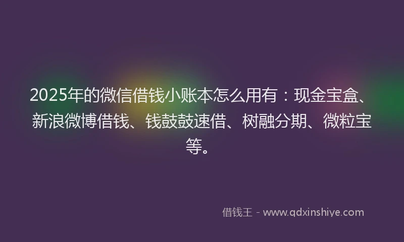 2025年的微信借钱小账本怎么用有：现金宝盒、新浪微博借钱、钱鼓鼓速借、树融分期、微粒宝等。