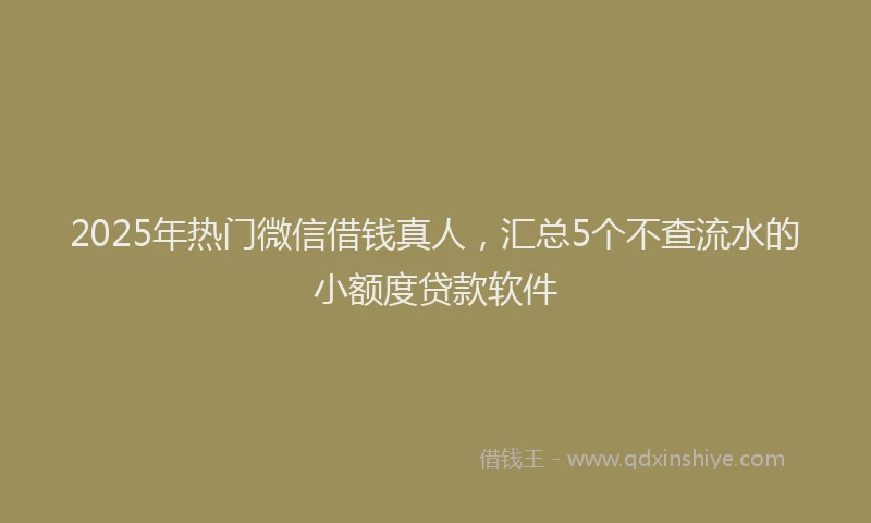 2025年热门微信借钱真人，汇总5个不查流水的小额度贷款软件
