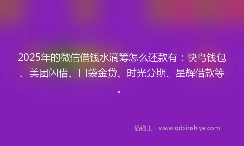 2025年的微信借钱水滴筹怎么还款有：快鸟钱包、美团闪借、口袋金贷、时光分期、星辉借款等。