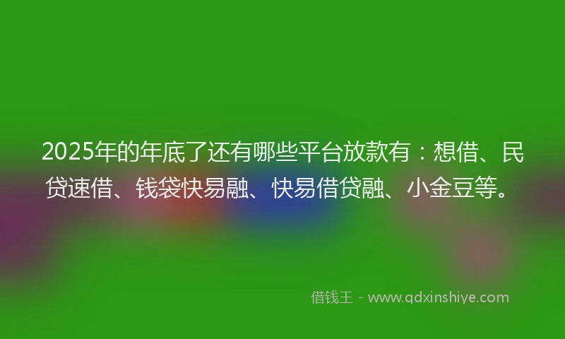 2025年的年底了还有哪些平台放款有：想借、民贷速借、钱袋快易融、快易借贷融、小金豆等。