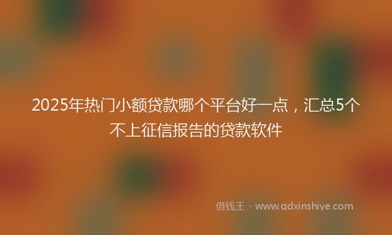 2025年热门小额贷款哪个平台好一点，汇总5个不上征信报告的贷款软件