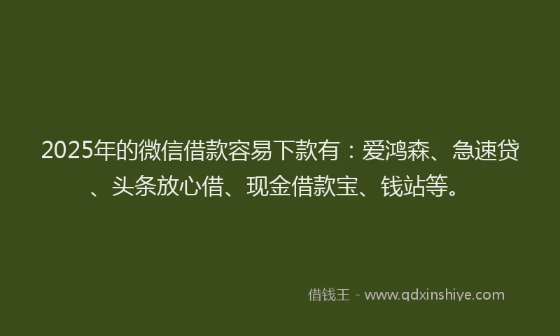 2025年的微信借款容易下款有：爱鸿森、急速贷、头条放心借、现金借款宝、钱站等。