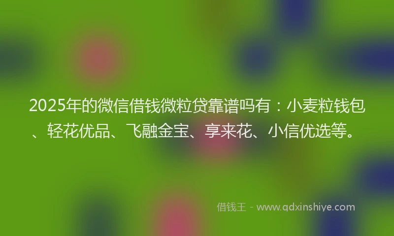 2025年的微信借钱微粒贷靠谱吗有：小麦粒钱包、轻花优品、飞融金宝、享来花、小信优选等。