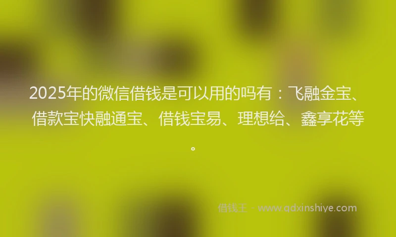 2025年的微信借钱是可以用的吗有：飞融金宝、借款宝快融通宝、借钱宝易、理想给、鑫享花等。