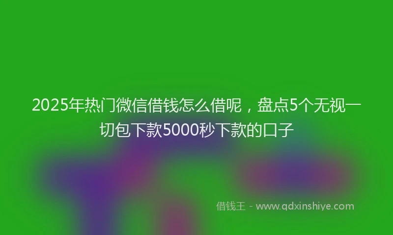 2025年热门微信借钱怎么借呢，盘点5个无视一切包下款5000秒下款的口子