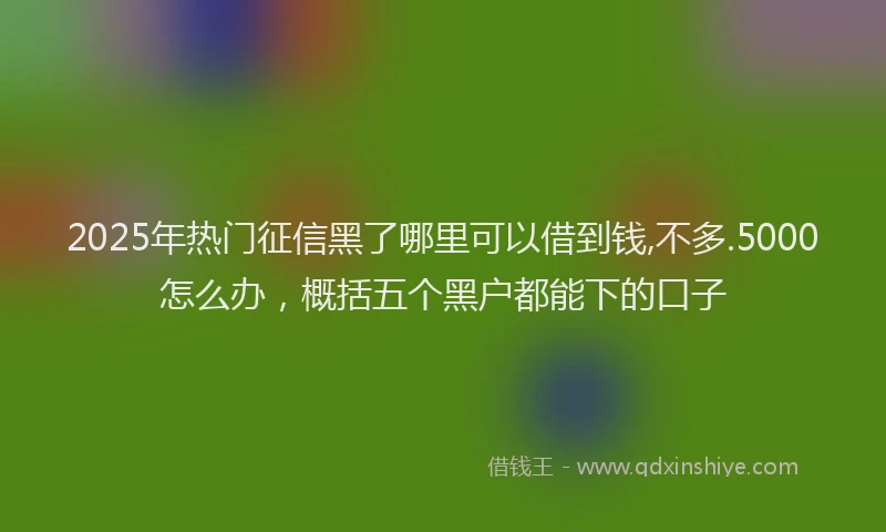 2025年热门征信黑了哪里可以借到钱,不多.5000怎么办，概括五个黑户都能下的口子