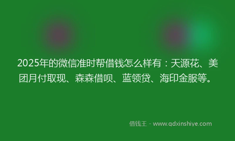 2025年的微信准时帮借钱怎么样有：天源花、美团月付取现、森森借呗、蓝领贷、海印金服等。