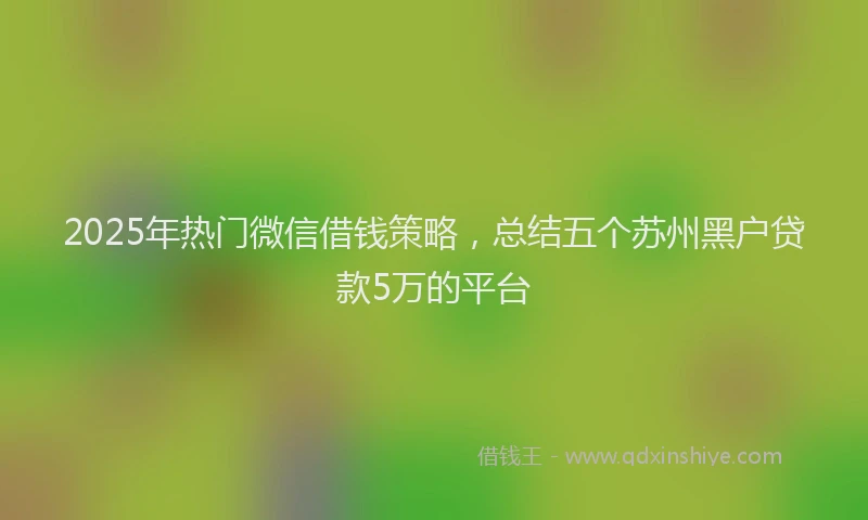 2025年热门微信借钱策略，总结五个苏州黑户贷款5万的平台
