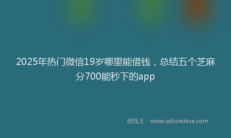 2025年热门微信19岁哪里能借钱，总结五个芝麻分700能秒下的app