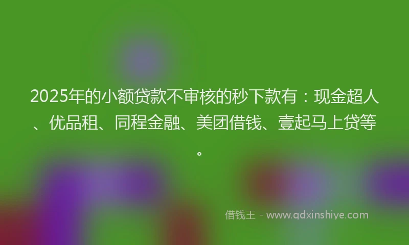 2025年的小额贷款不审核的秒下款有：现金超人、优品租、同程金融、美团借钱、壹起马上贷等。