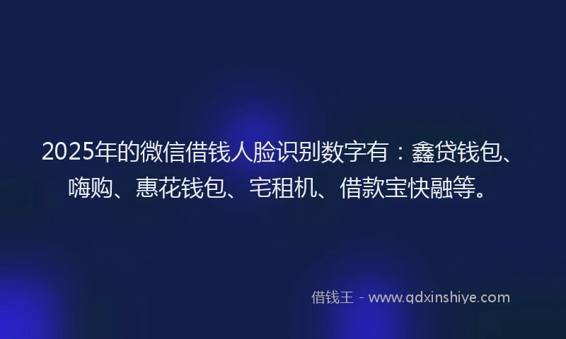 2025年的微信借钱人脸识别数字有：鑫贷钱包、嗨购、惠花钱包、宅租机、借款宝快融等。