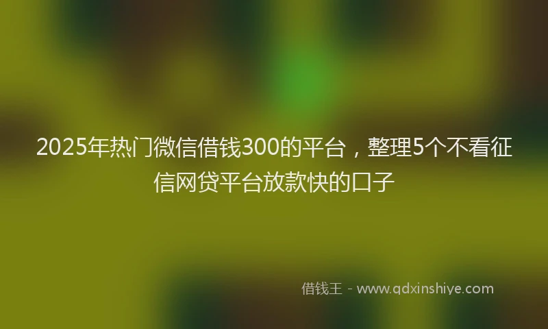 2025年热门微信借钱300的平台，整理5个不看征信网贷平台放款快的口子