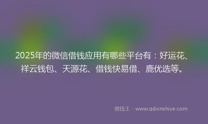 2025年的微信借钱应用有哪些平台有：好运花、祥云钱包、天源花、借钱快易借、鹿优选等。