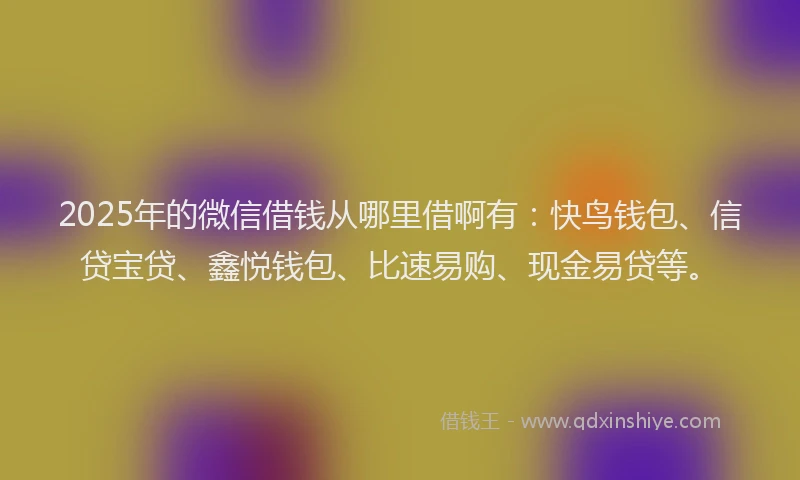 2025年的微信借钱从哪里借啊有:快鸟钱包、信贷宝贷、鑫悦钱包、比速易购、现金易贷等。