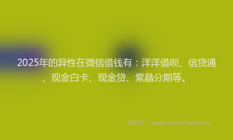 2025年的异性在微信借钱有：洋洋借呗、信贷通、现金白卡、现金贷、紫晶分期等。