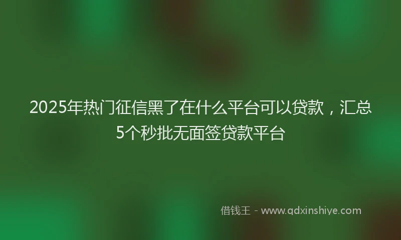 2025年热门征信黑了在什么平台可以贷款，汇总5个秒批无面签贷款平台