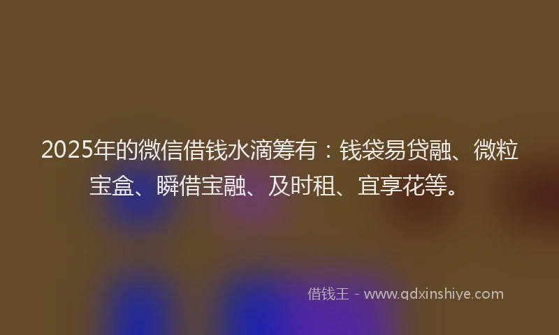 2025年的微信借钱水滴筹有：钱袋易贷融、微粒宝盒、瞬借宝融、及时租、宜享花等。