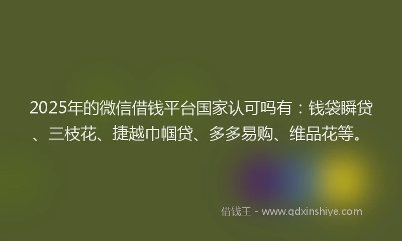 2025年的微信借钱平台国家认可吗有：钱袋瞬贷、三枝花、捷越巾帼贷、多多易购、维品花等。