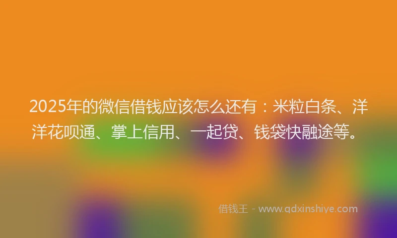 2025年的微信借钱应该怎么还有：米粒白条、洋洋花呗通、掌上信用、一起贷、钱袋快融途等。