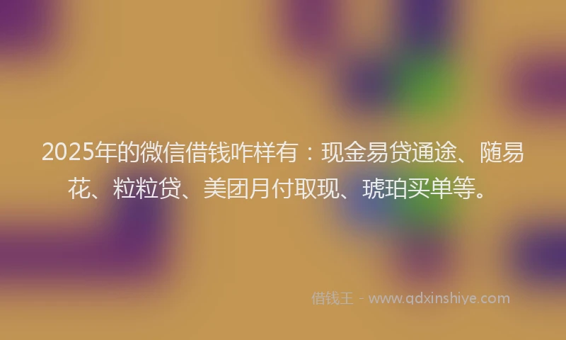 2025年的微信借钱咋样有：现金易贷通途、随易花、粒粒贷、美团月付取现、琥珀买单等。