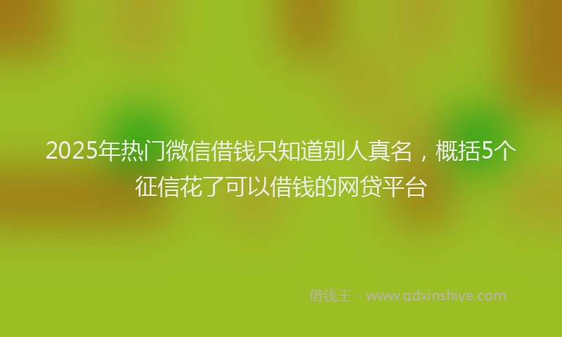 2025年热门微信借钱只知道别人真名，概括5个征信花了可以借钱的网贷平台