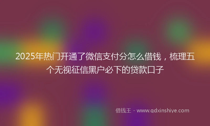2025年热门开通了微信支付分怎么借钱，梳理五个无视征信黑户必下的贷款口子