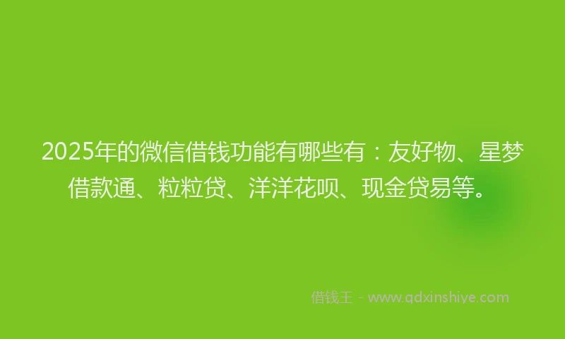 2025年的微信借钱功能有哪些有:友好物、星梦借款通、粒粒贷、洋洋花呗、现金贷易等。