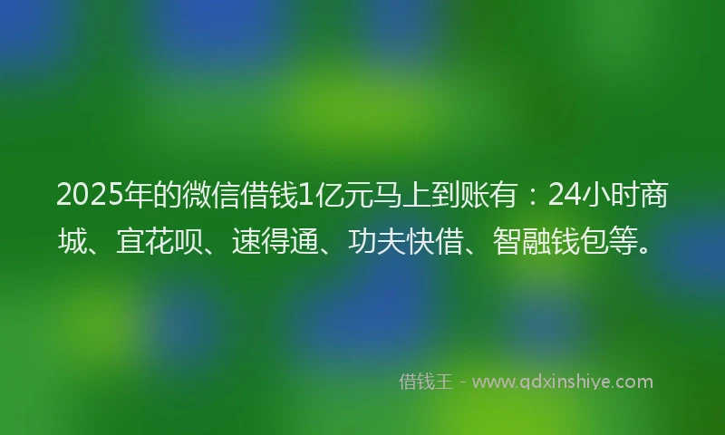2025年的微信借钱1亿元马上到账有:24小时商城、宜花呗、速得通、功夫快借、智融钱包等。