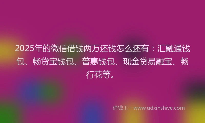 2025年的微信借钱两万还钱怎么还有：汇融通钱包、畅贷宝钱包、普惠钱包、现金贷易融宝、畅行花等。