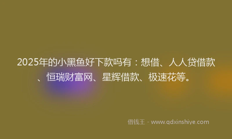 2025年的小黑鱼好下款吗有：想借、人人贷借款、恒瑞财富网、星辉借款、极速花等。